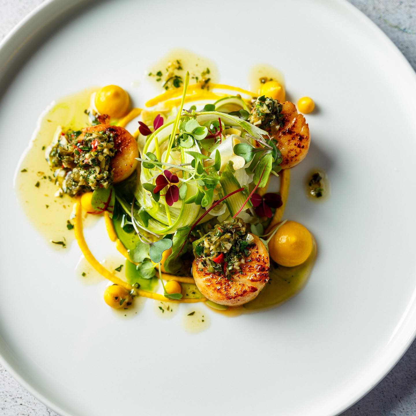 Scallops with Microgreens