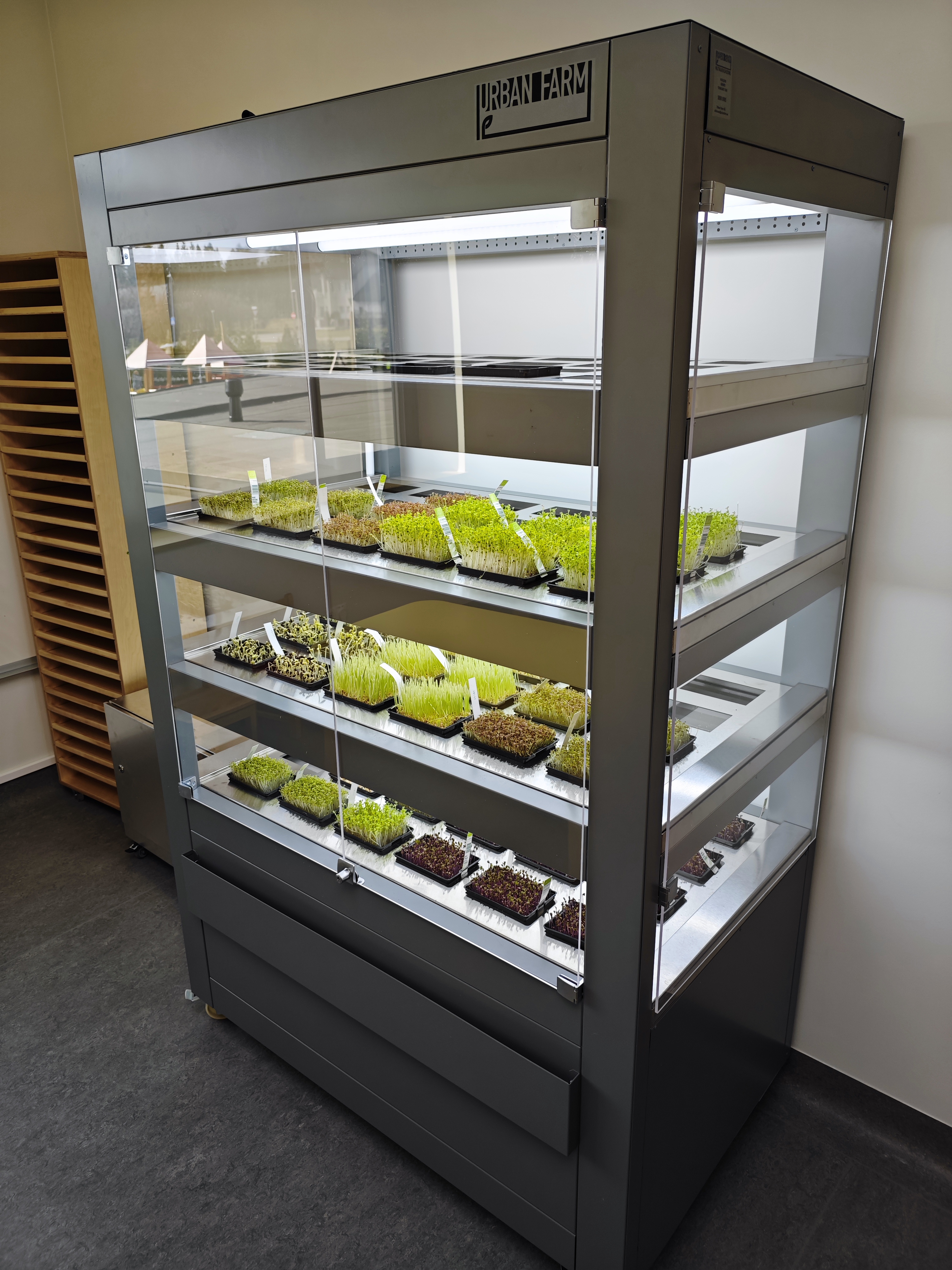 Lagedi kindergarten with smart greenhouse