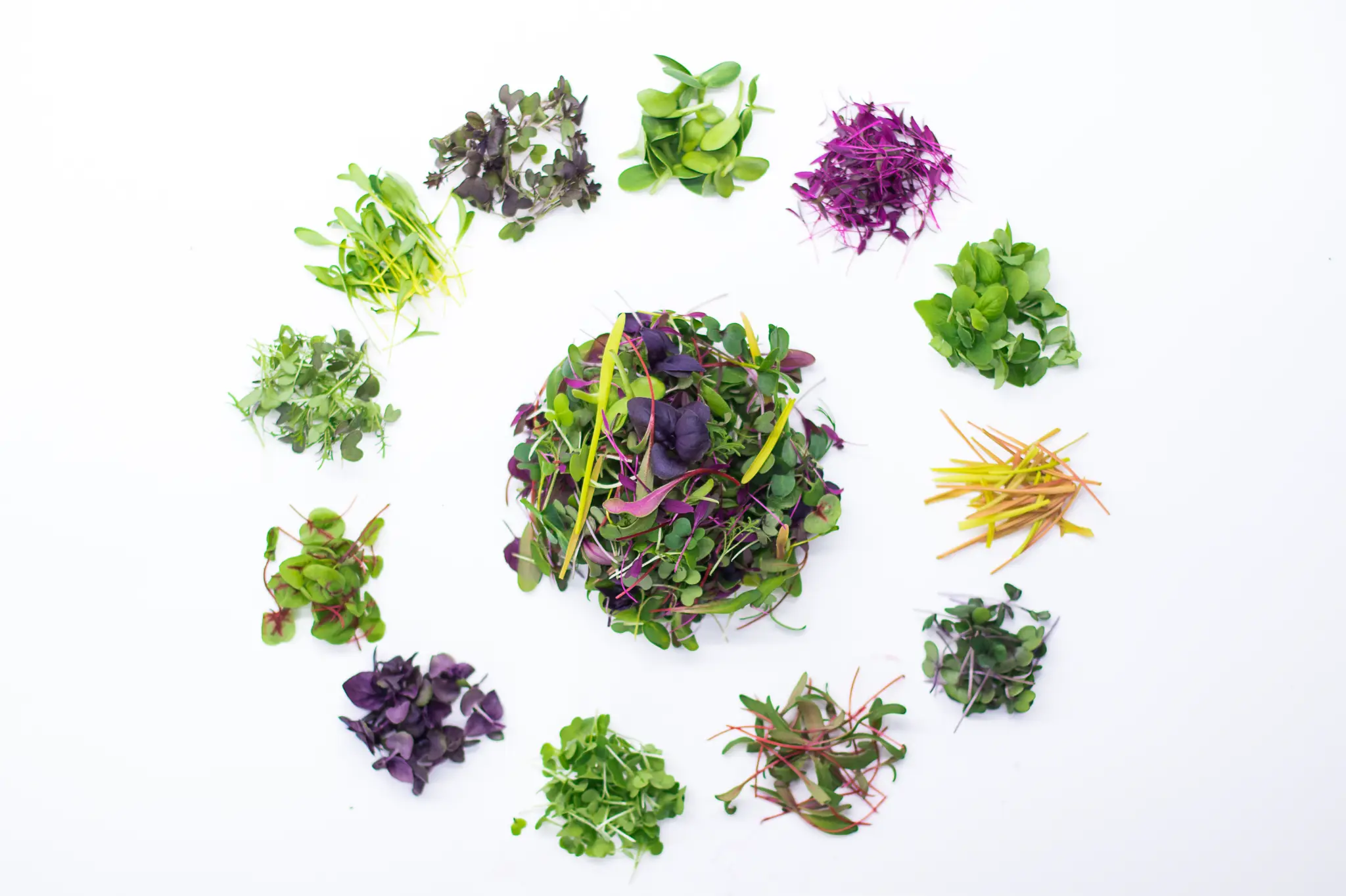 Microgreens varieties
